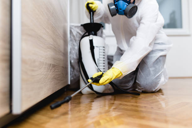 Best Best Pest Control Companies  in Birchwood Lakes, PA