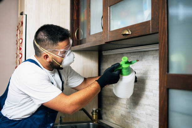 Best Insect Control  in Birchwood Lakes, PA