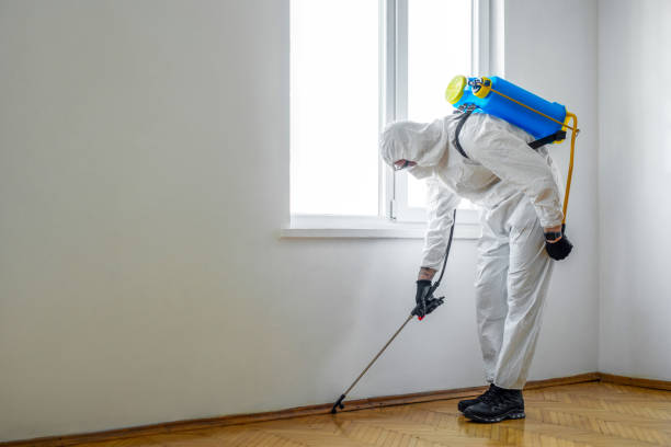 Best Pest Prevention Services  in Birchwood Lakes, PA