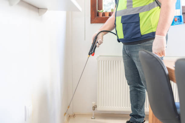 Best Wasp Removal Services  in Birchwood Lakes, PA