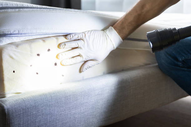 Pest Control Cost in Birchwood Lakes, PA