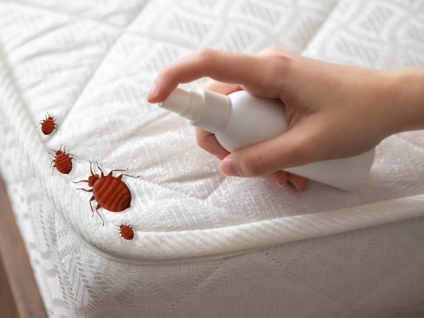 Best Emergency Pest Control  in Birchwood Lakes, PA