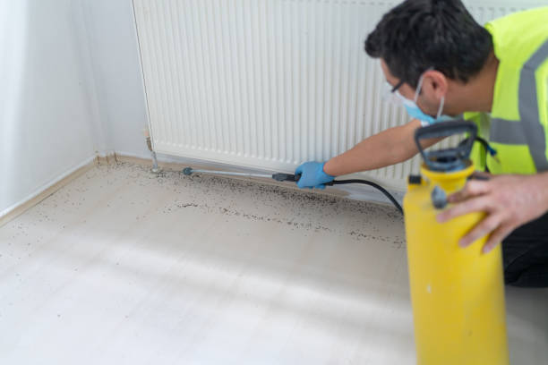 Best Best Pest Control Companies  in Birchwood Lakes, PA