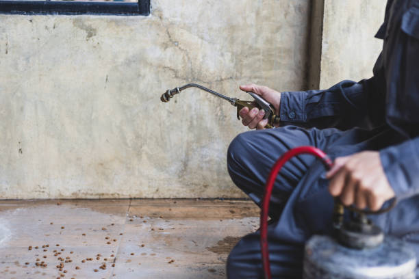 Wasp Removal Services in Birchwood Lakes, PA